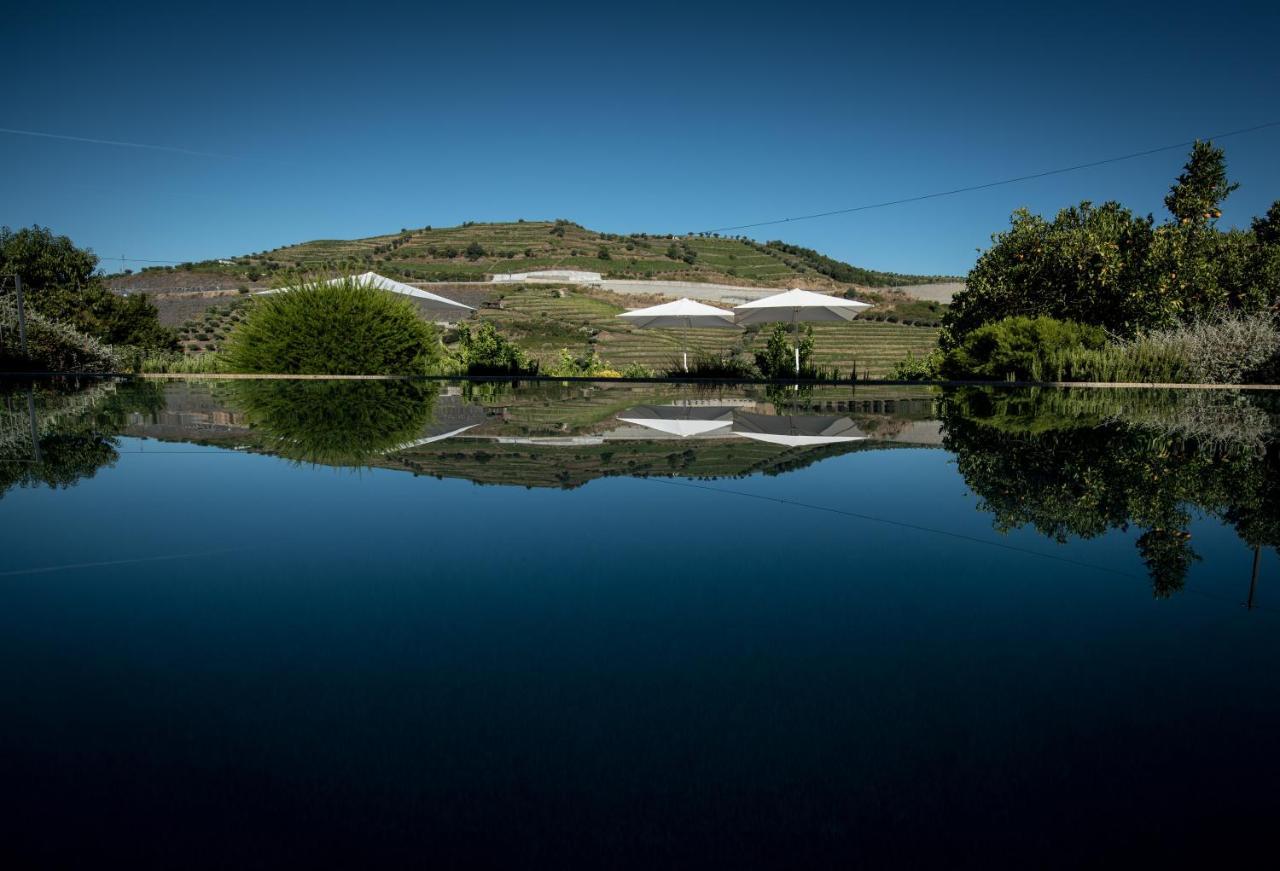 Quinta Do Vallado - Douro Wine Hotel Peso da Régua المظهر الخارجي الصورة