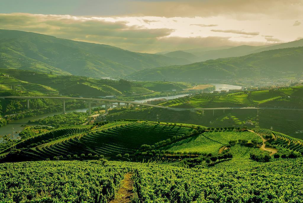 Quinta Do Vallado - Douro Wine Hotel Peso da Régua المظهر الخارجي الصورة