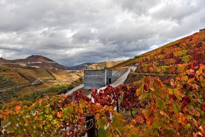Quinta Do Vallado - Douro Wine Hotel Peso da Régua المظهر الخارجي الصورة